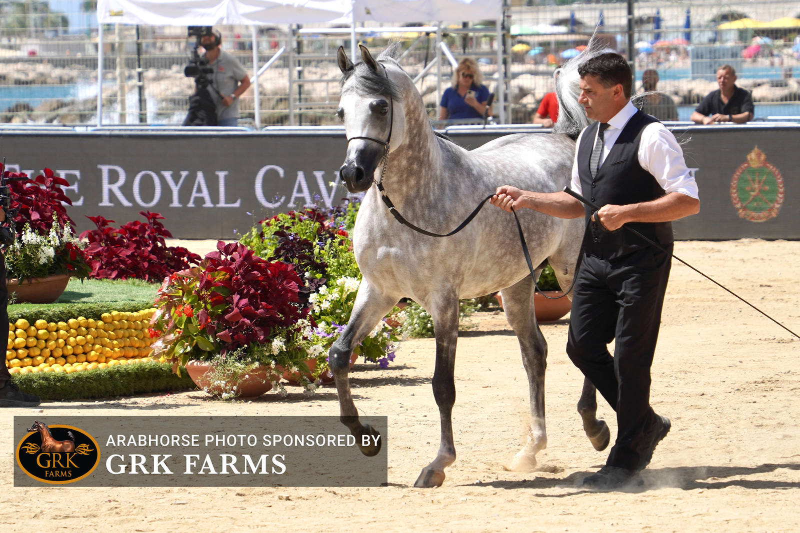 2022 Menton Show | Day 2 Photos