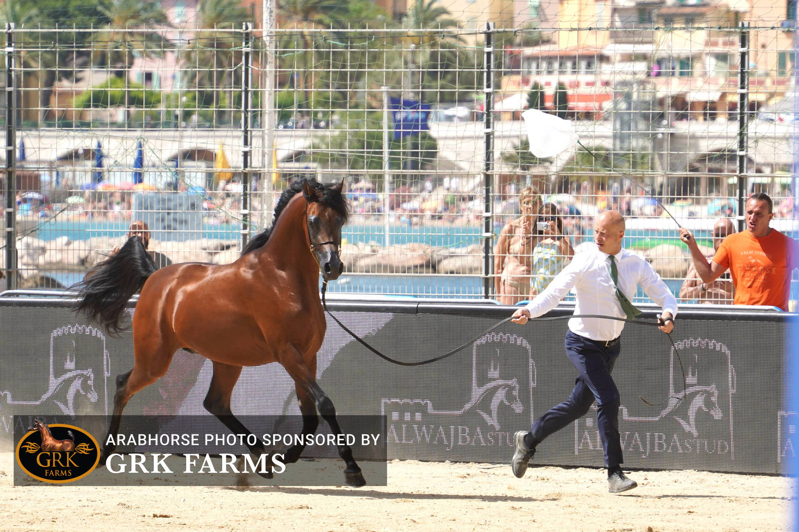 2022 Menton Show | Day 2 Photos
