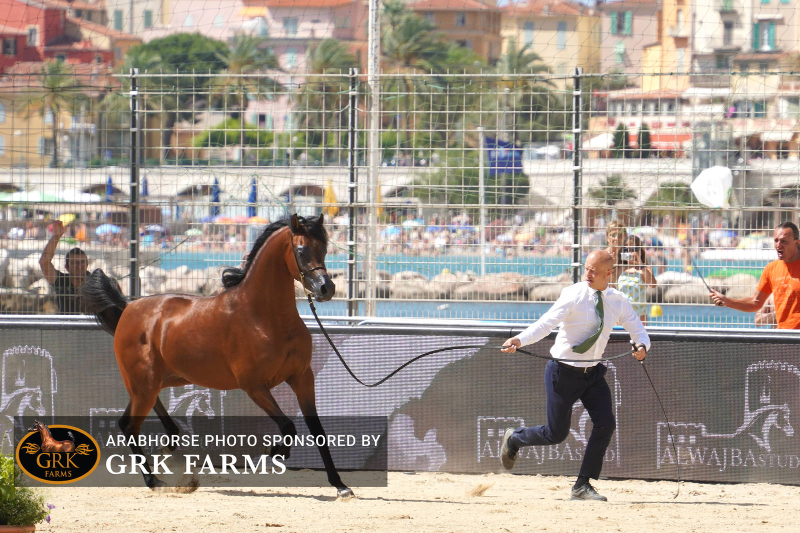 2022 Menton Show | Day 2 Photos