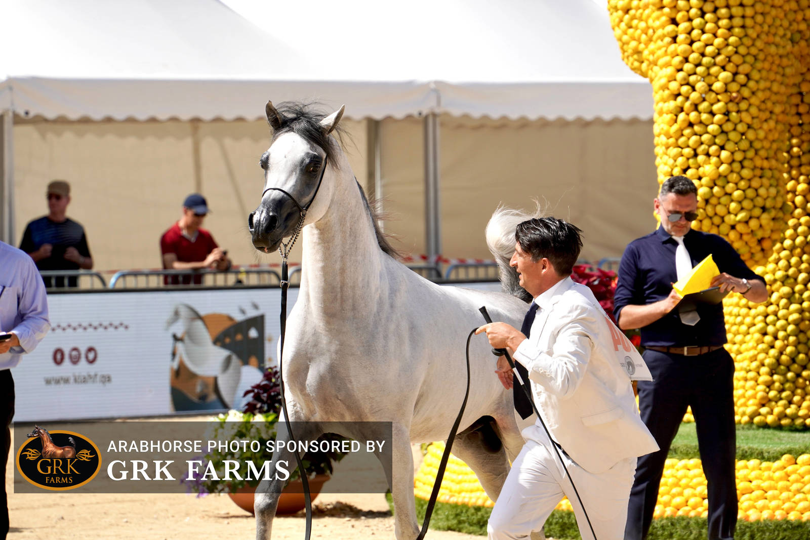 2022 Menton Show | Day 2 Photos