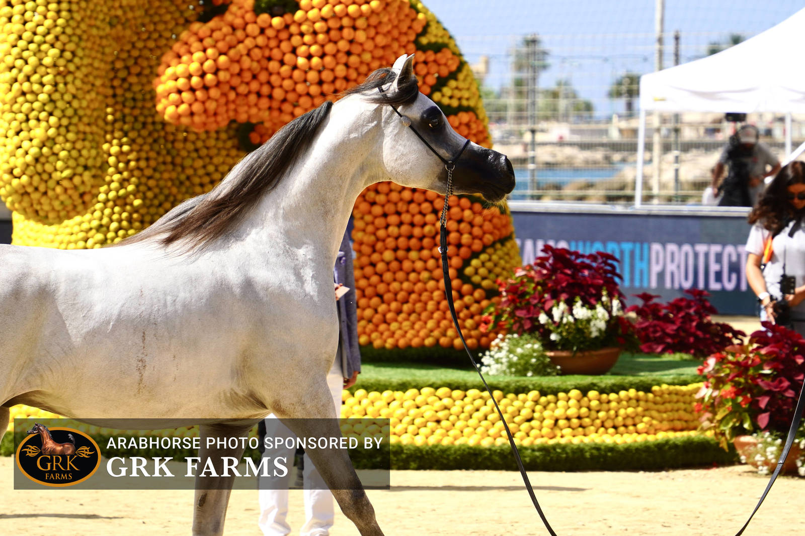 2022 Menton Show | Day 2 Photos