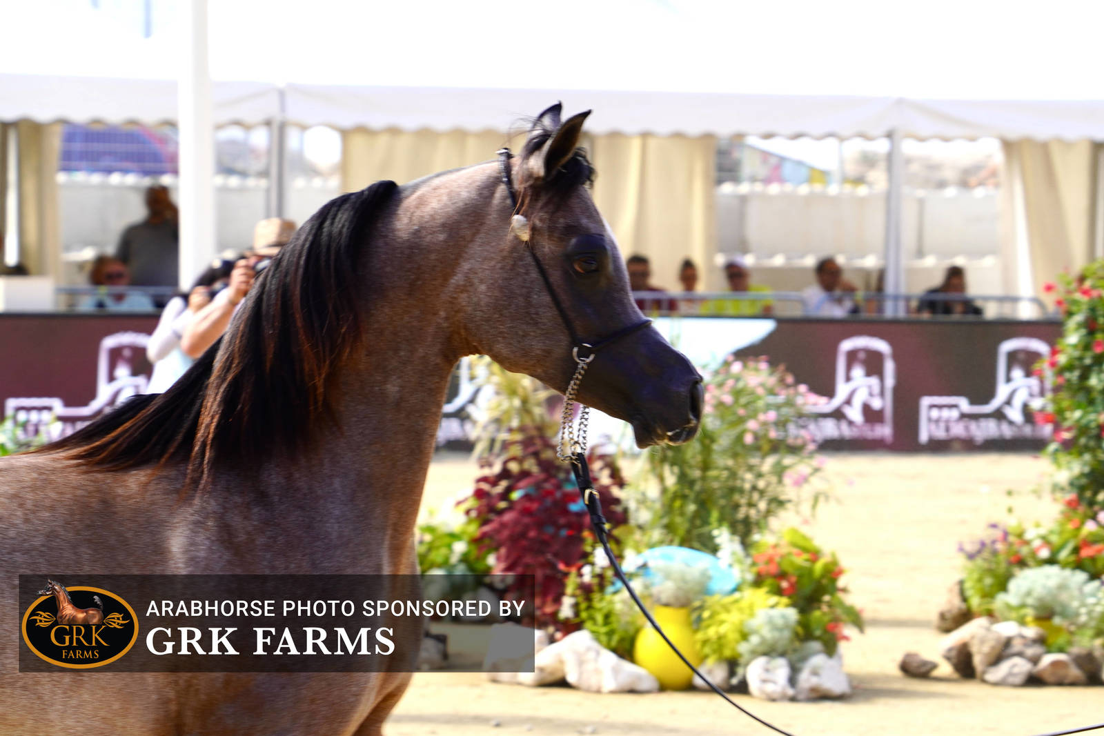 2022 Menton Show | Day 2 Photos