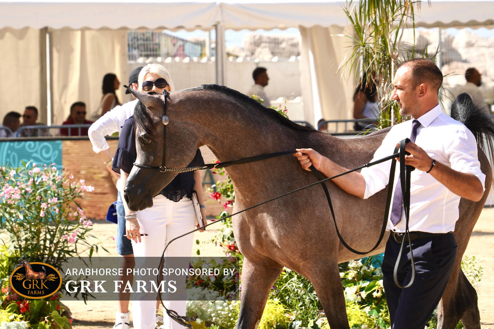 2022 Menton Show | Day 2 Photos