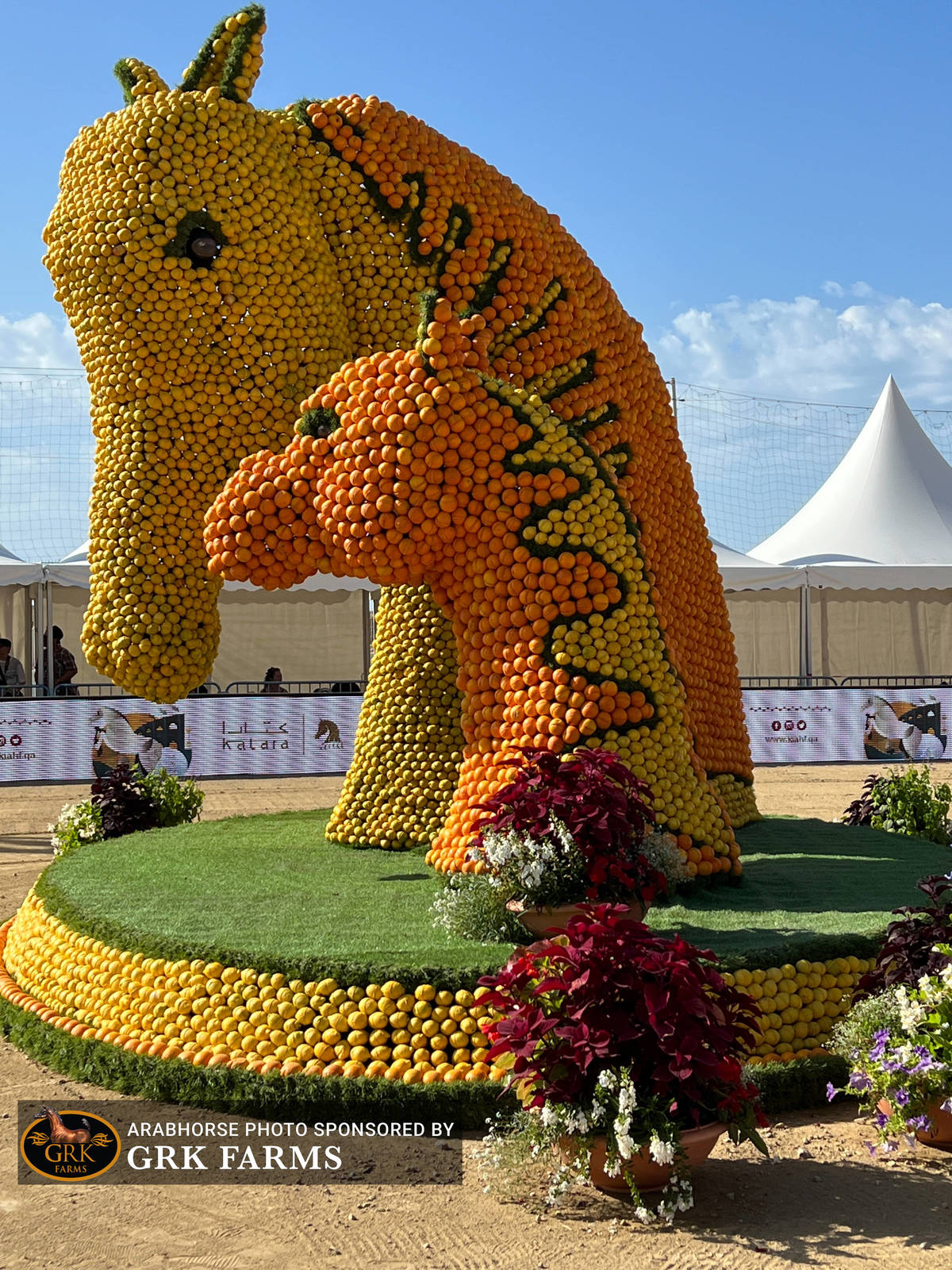 2022 Menton Show | Day 2 Photos