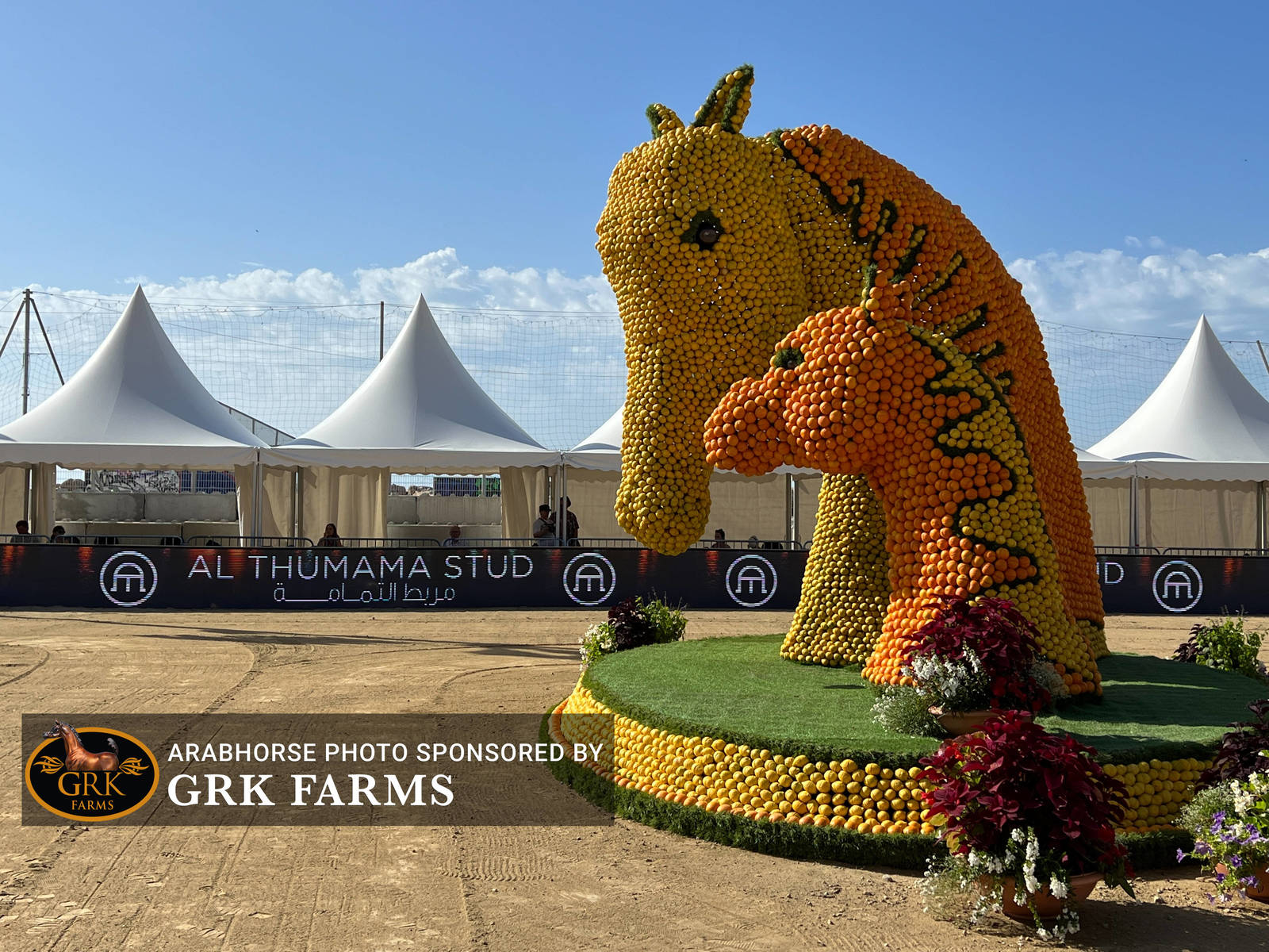 2022 Menton Show | Day 2 Photos