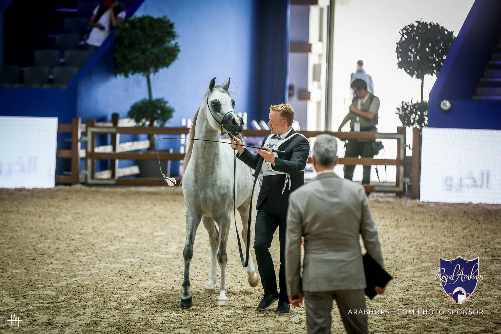 2022 Salon du Cheval d'El Jadida Horse Show in Morocco