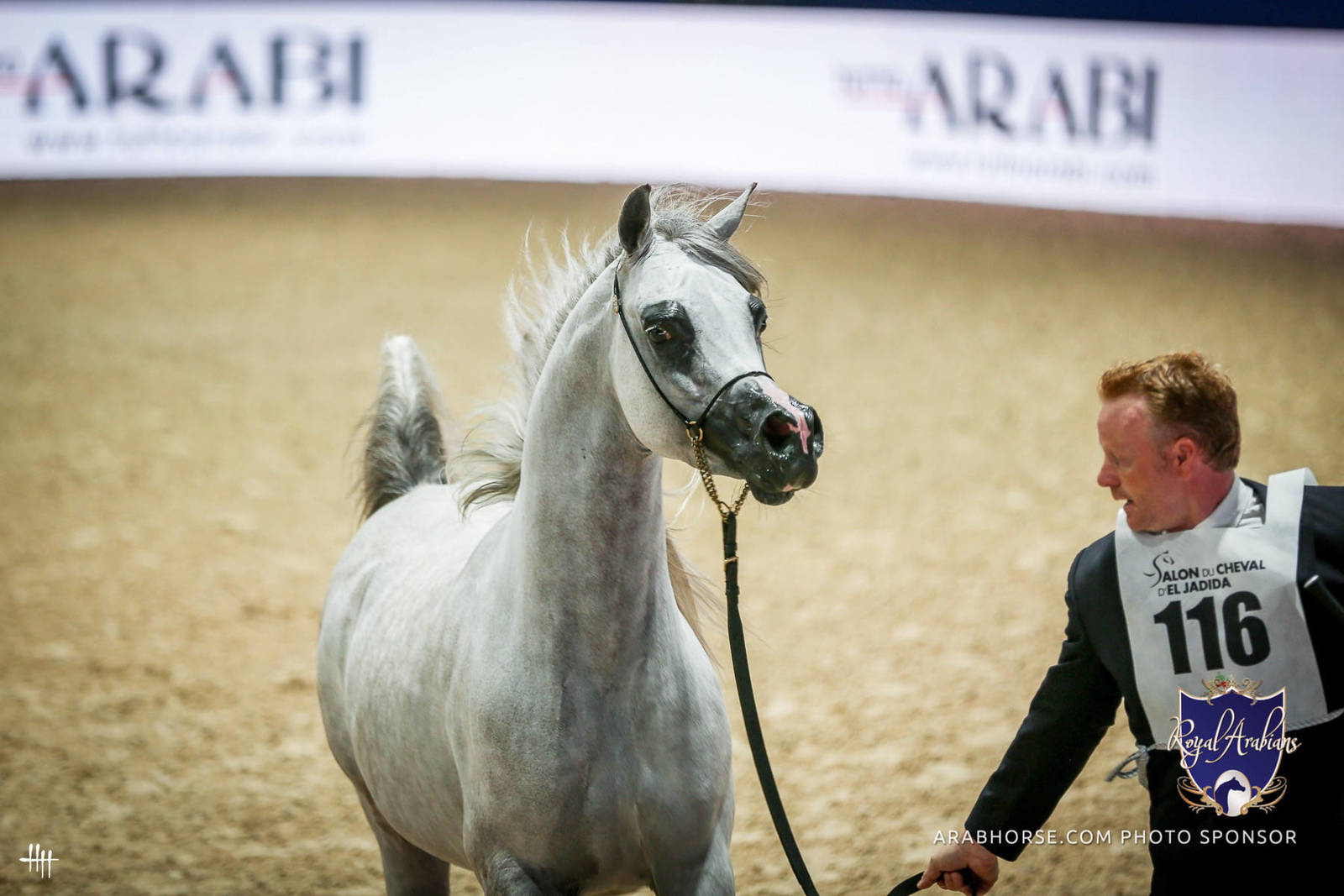 2022 Salon du Cheval d'El Jadida Horse Show in Morocco