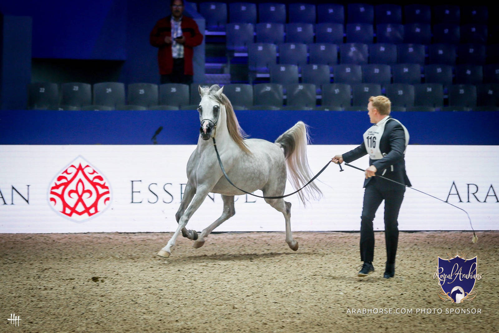 2022 Salon du Cheval d'El Jadida Horse Show in Morocco