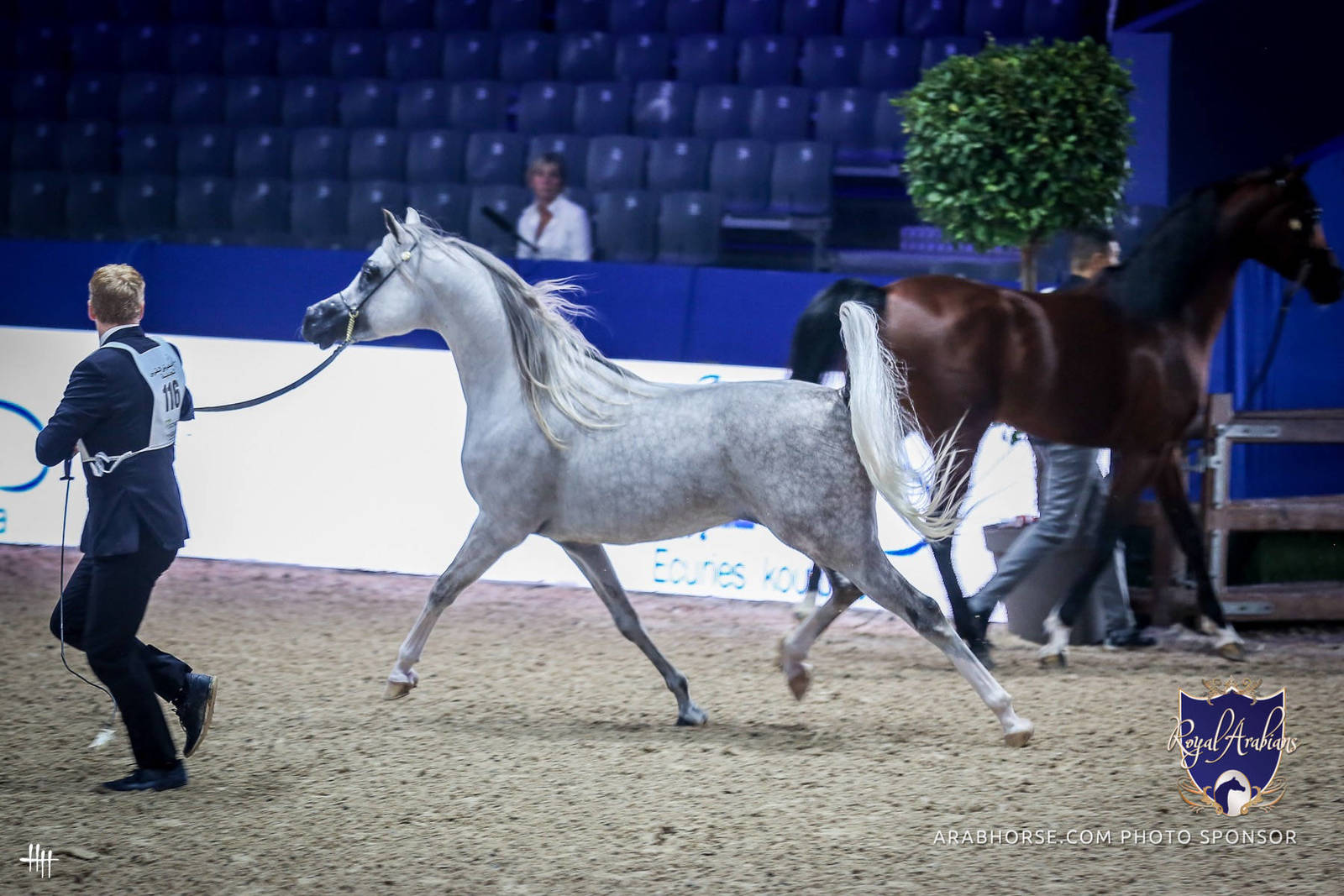 2022 Salon du Cheval d'El Jadida Horse Show in Morocco