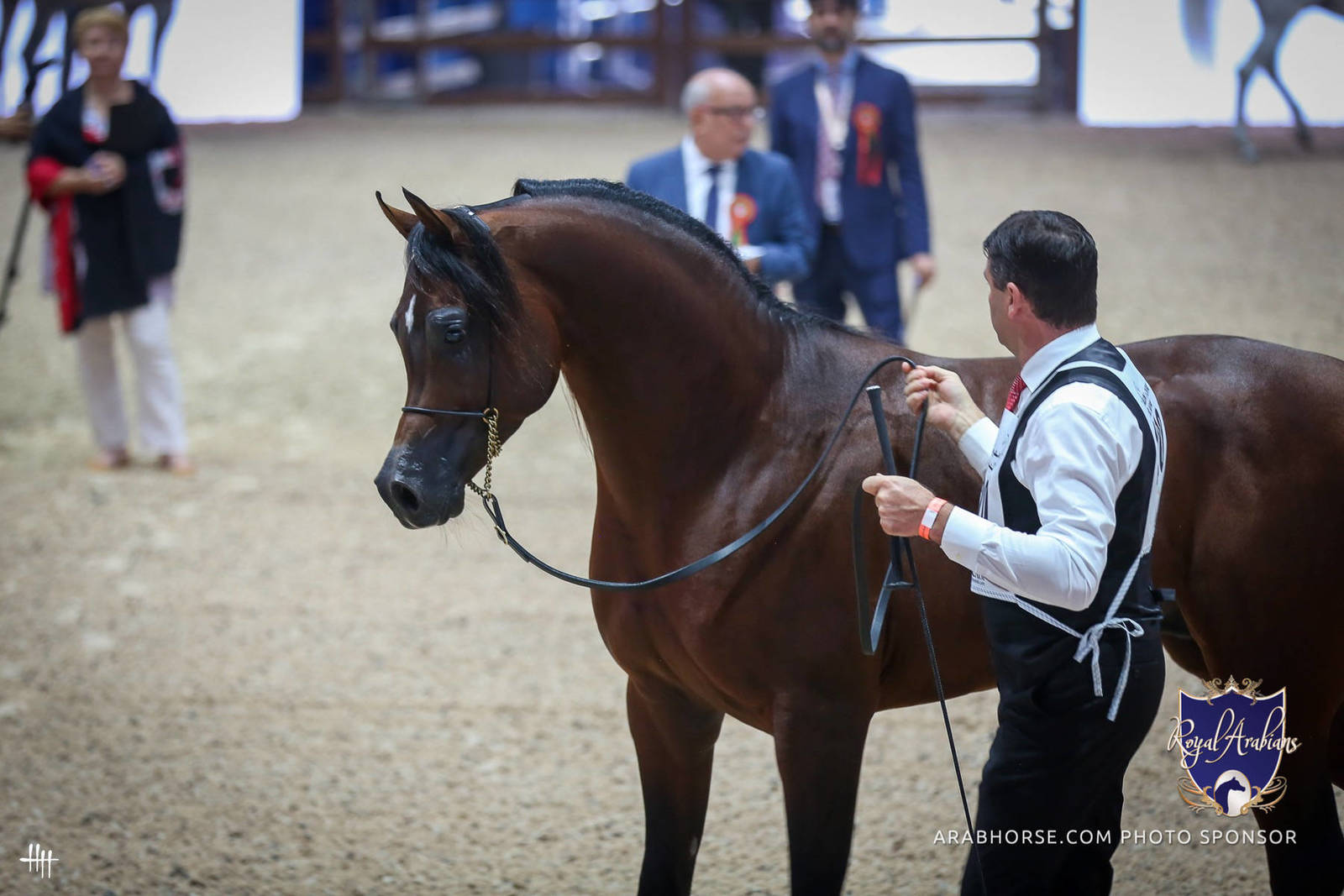 2022 Salon du Cheval d'El Jadida Horse Show in Morocco