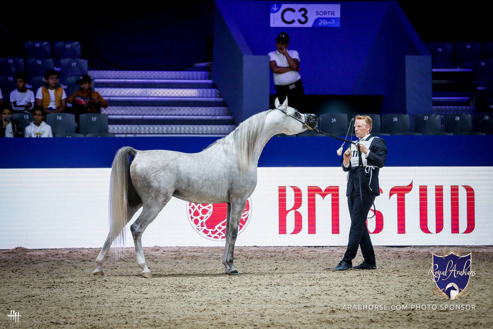 2022 Salon du Cheval d'El Jadida Horse Show in Morocco