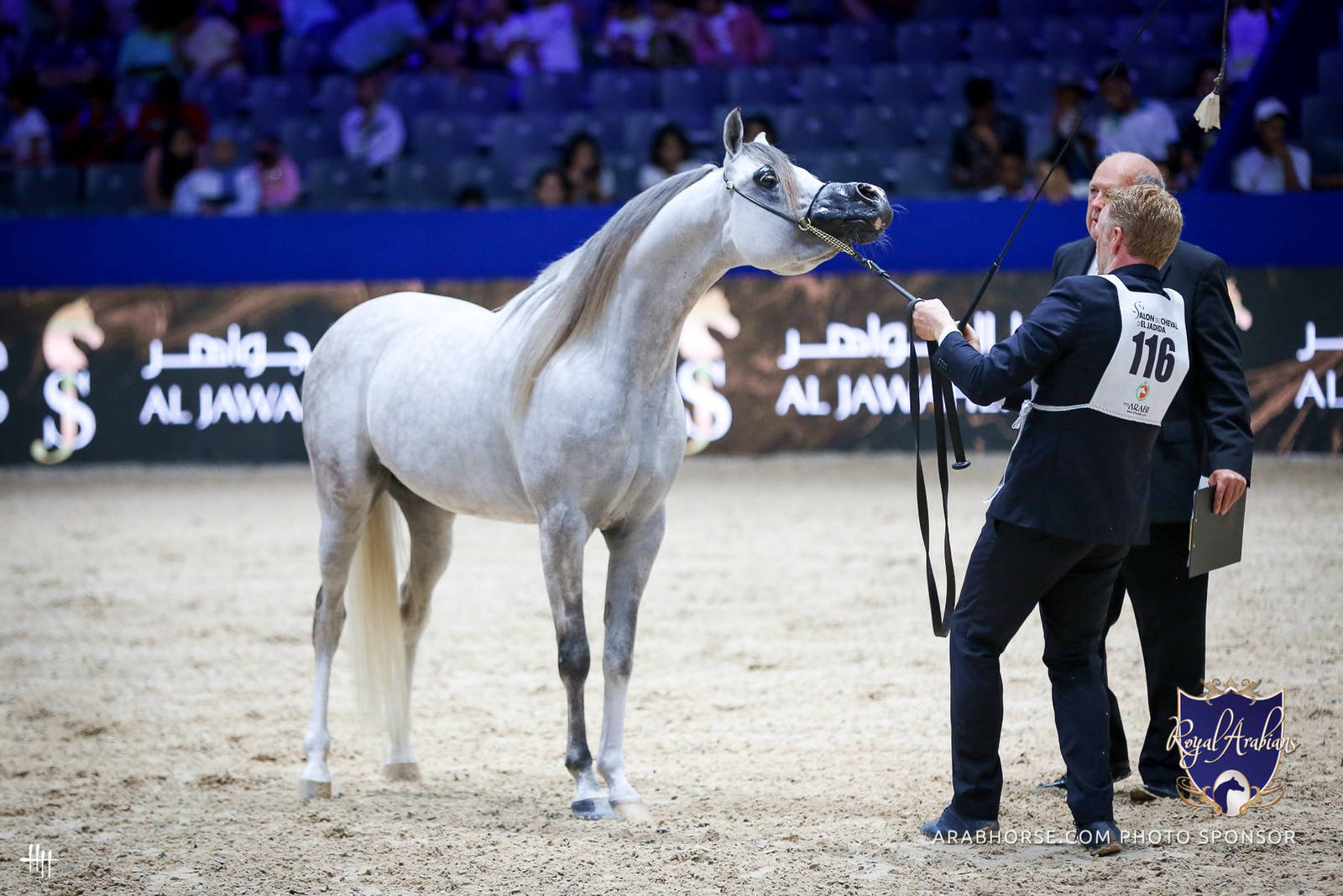 2022 Salon du Cheval d'El Jadida Horse Show in Morocco