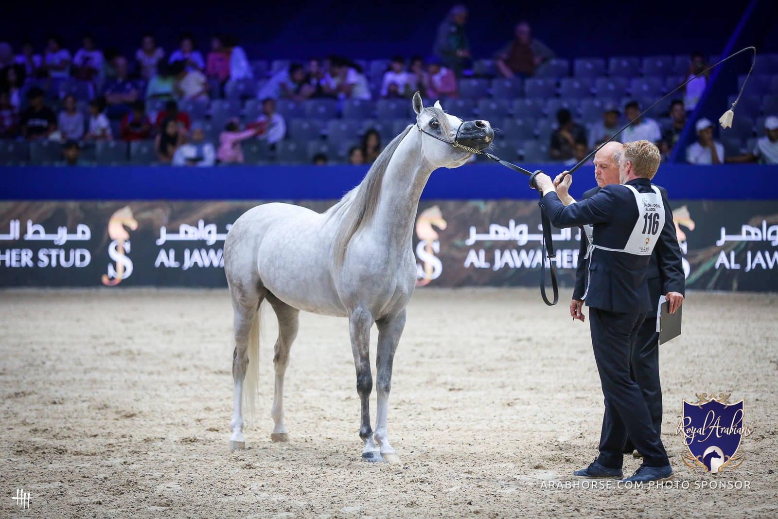 2022 Salon du Cheval d'El Jadida Horse Show in Morocco