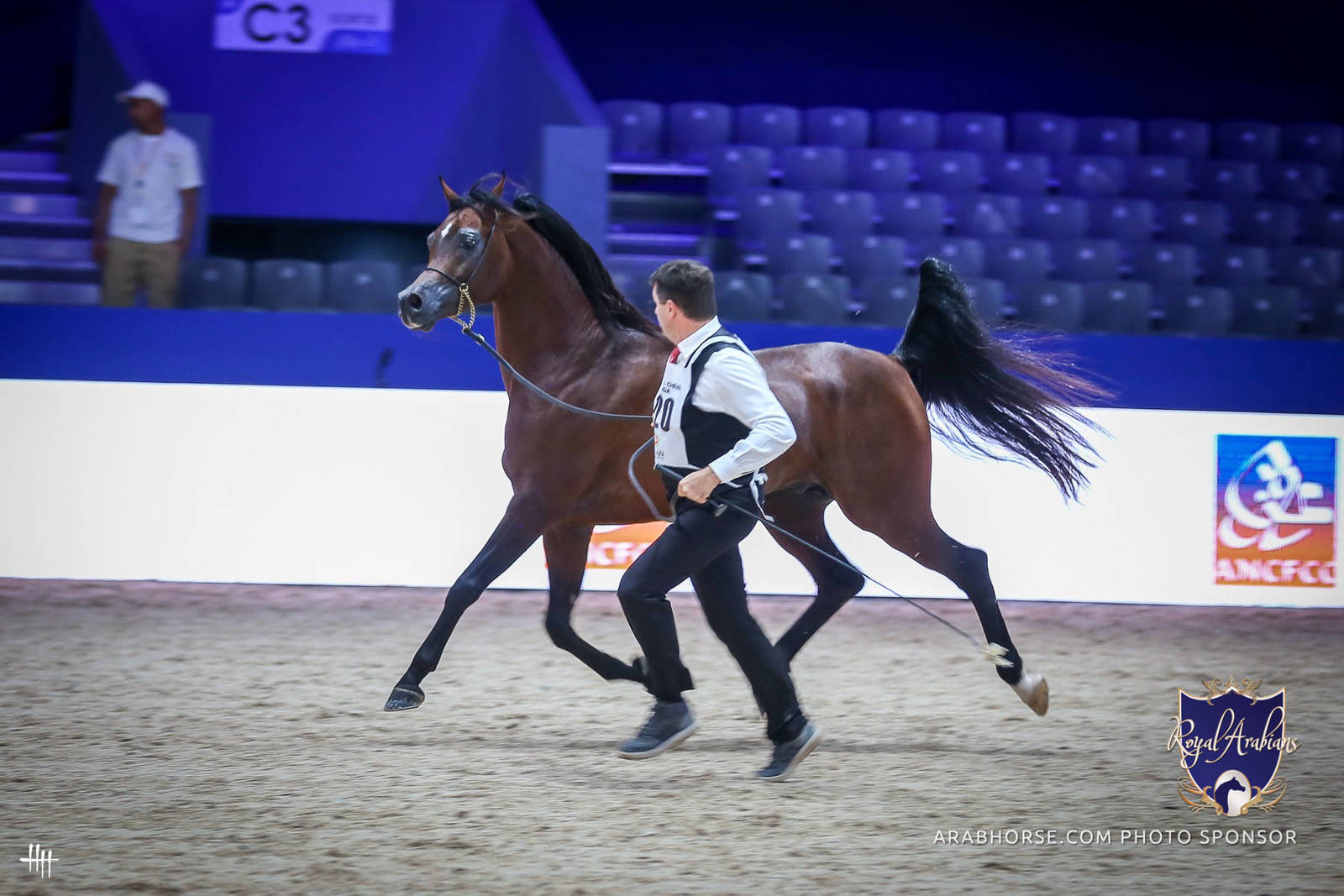 2022 Salon du Cheval d'El Jadida Horse Show in Morocco