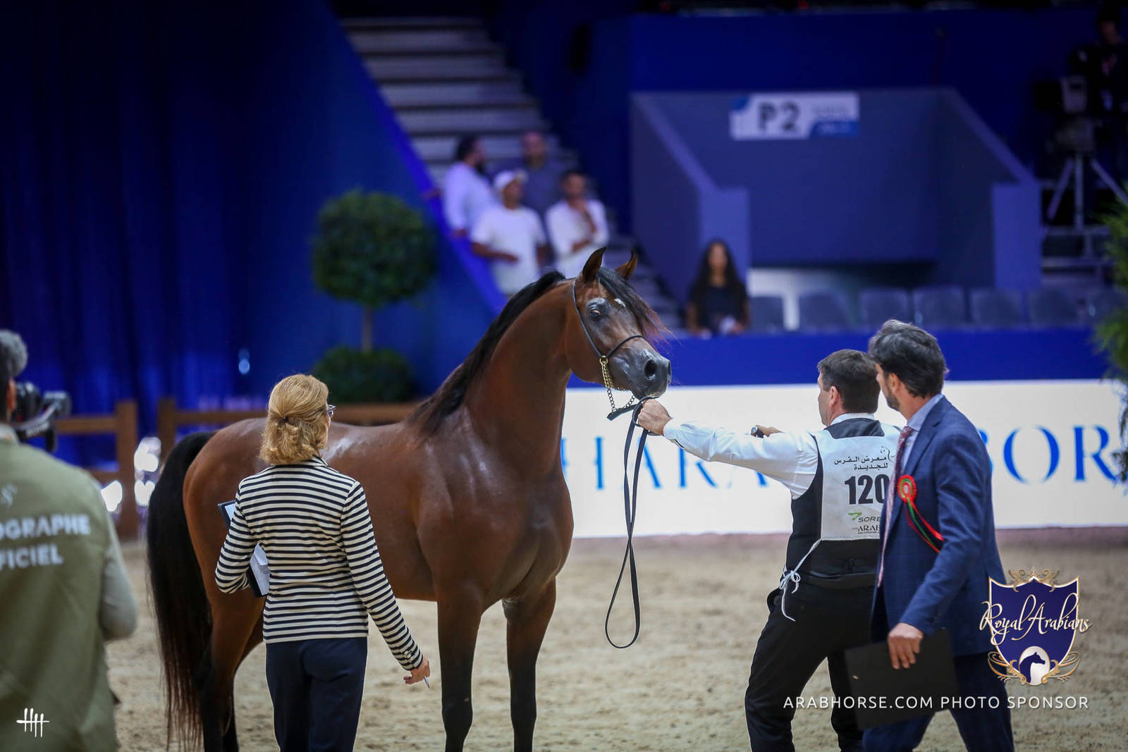 2022 Salon du Cheval d'El Jadida Horse Show in Morocco
