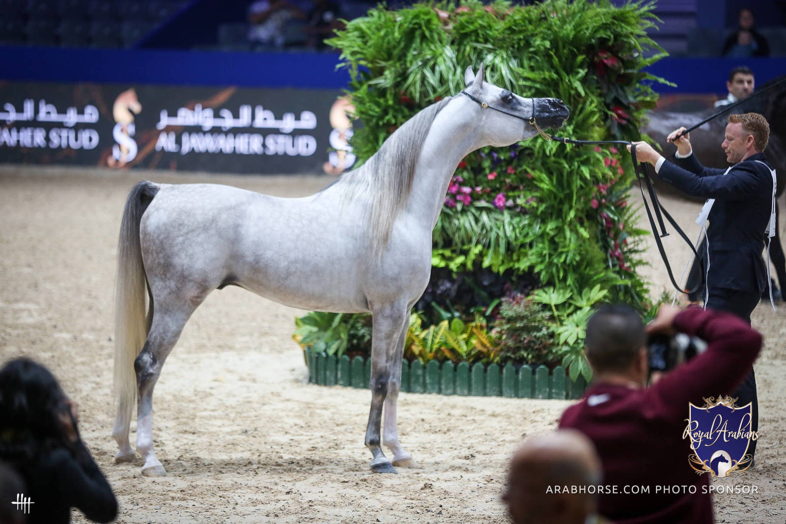 2022 Salon du Cheval d'El Jadida Horse Show in Morocco