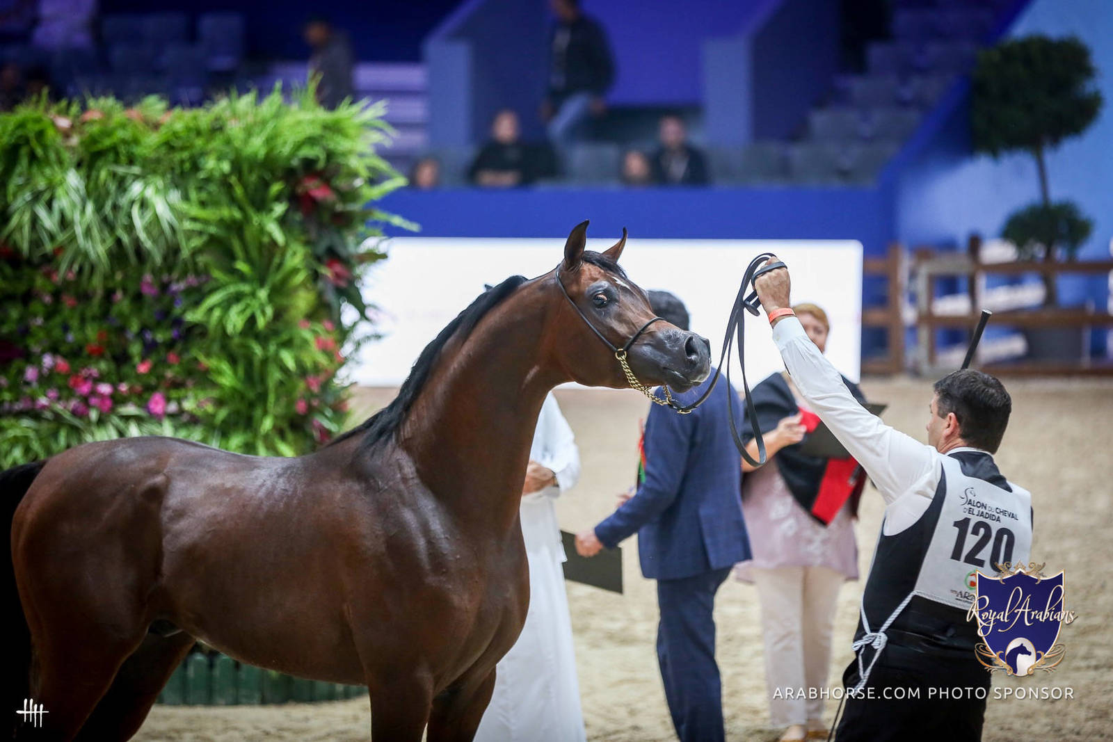 2022 Salon du Cheval d'El Jadida Horse Show in Morocco