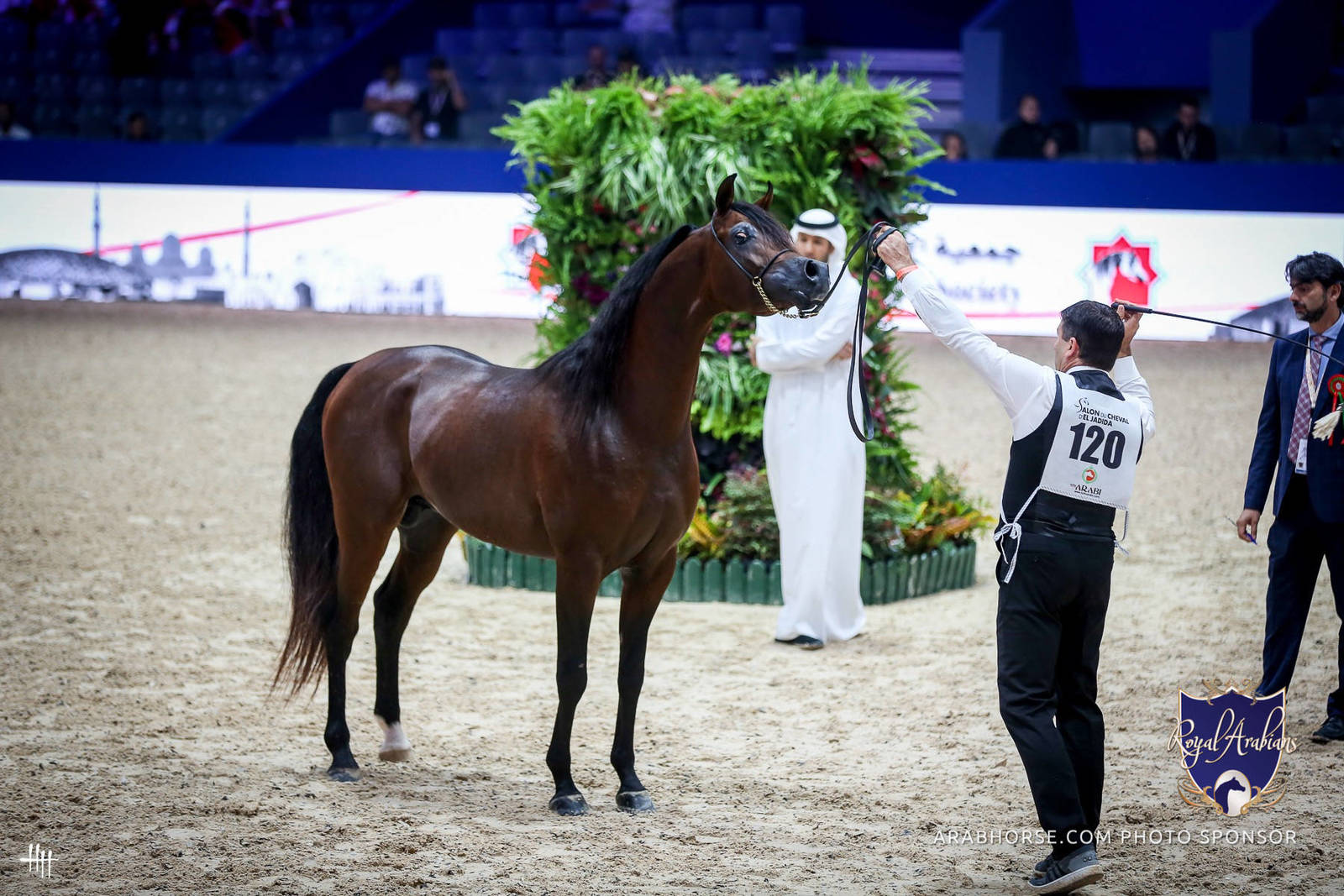 2022 Salon du Cheval d'El Jadida Horse Show in Morocco