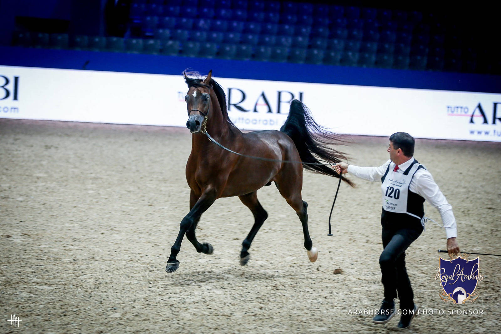 2022 Salon du Cheval d'El Jadida Horse Show in Morocco