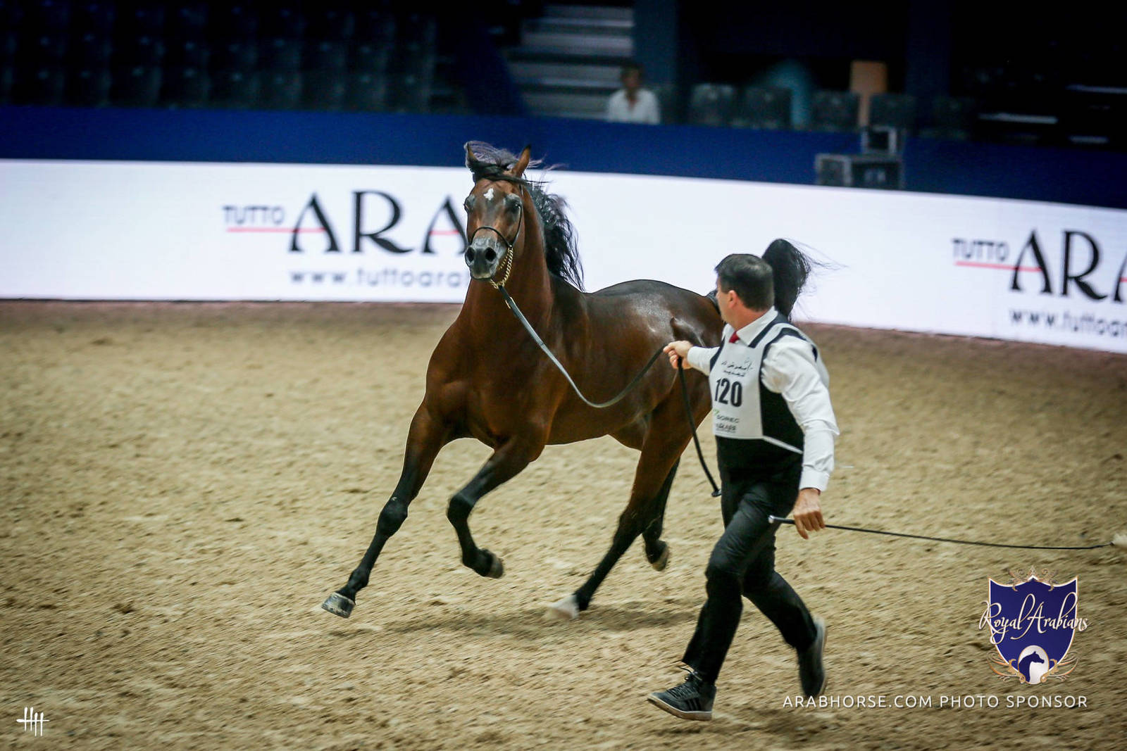 2022 Salon du Cheval d'El Jadida Horse Show in Morocco