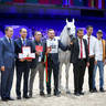 2022 Salon du Cheval d'El Jadida Horse Show in Morocco