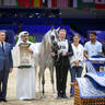 2022 Salon du Cheval d'El Jadida Horse Show in Morocco
