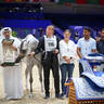 2022 Salon du Cheval d'El Jadida Horse Show in Morocco