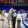 2022 Salon du Cheval d'El Jadida Horse Show in Morocco