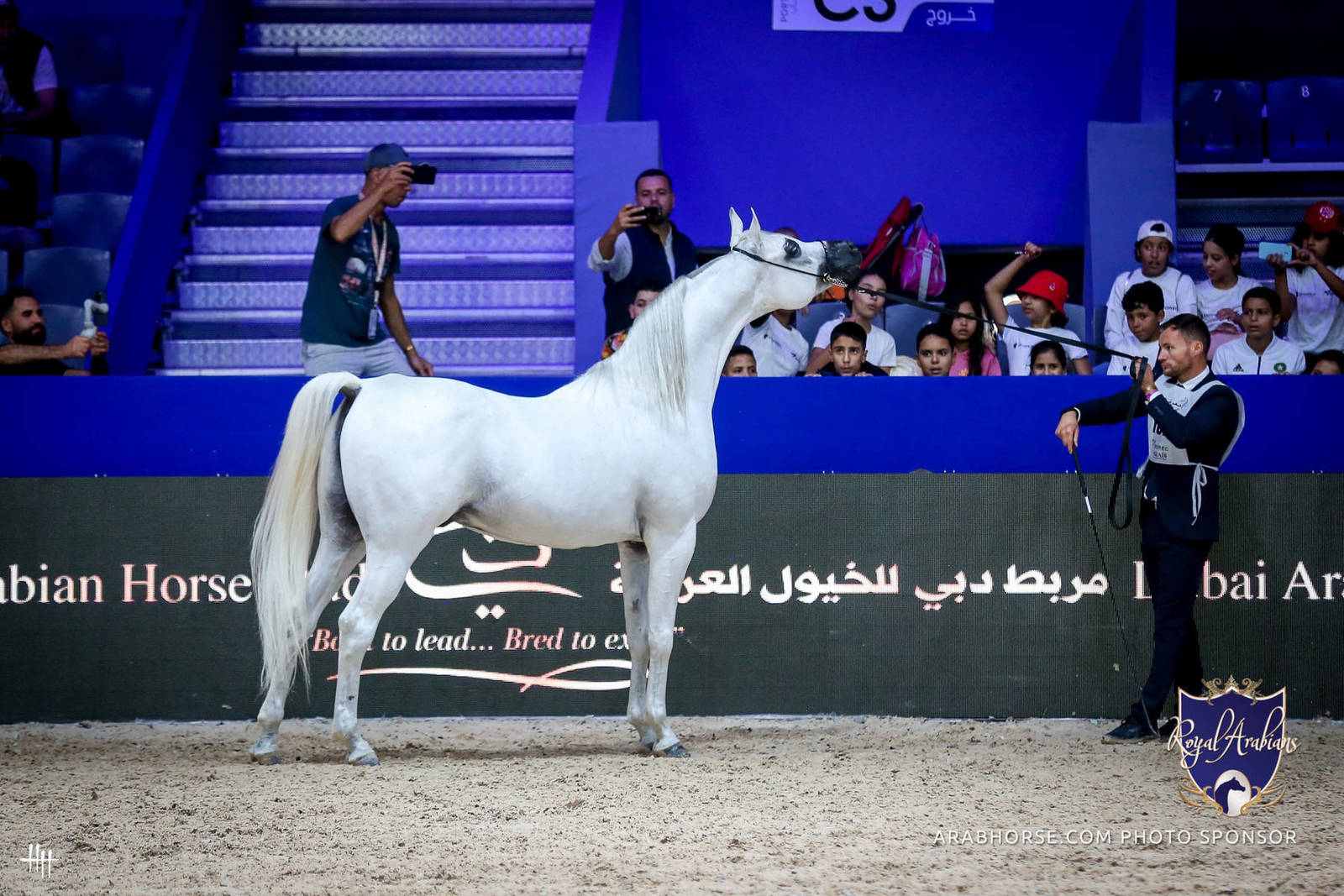 2022 Salon du Cheval d'El Jadida Horse Show in Morocco