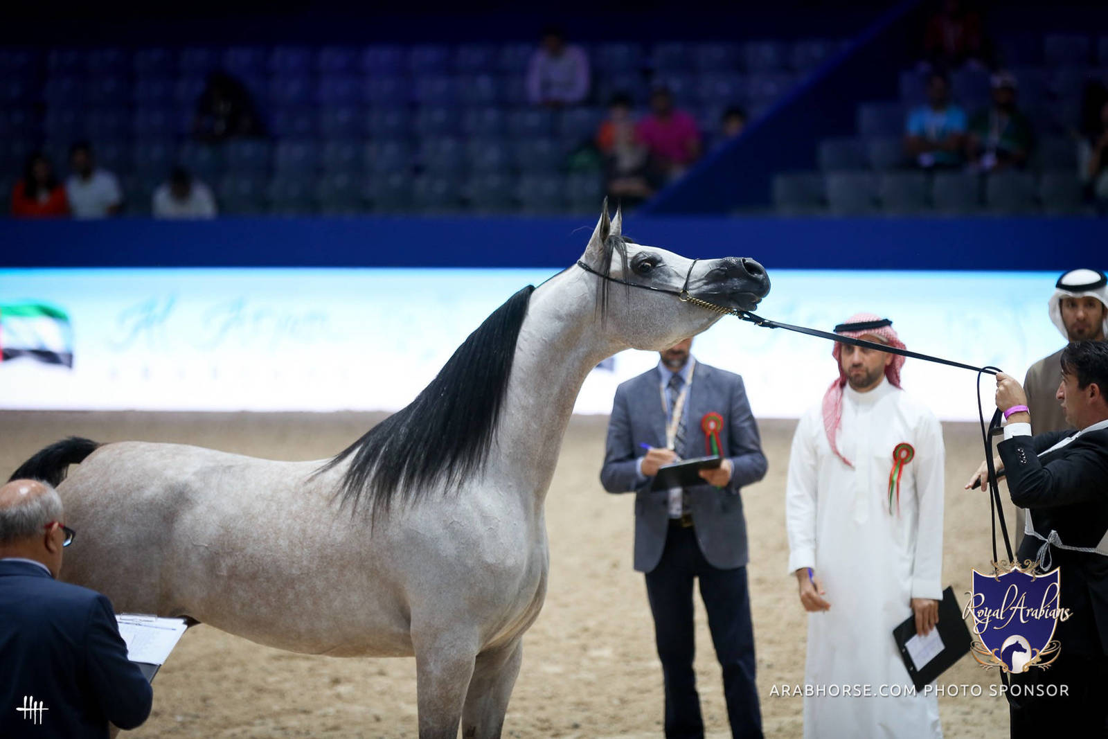 2022 Salon du Cheval d'El Jadida Horse Show in Morocco