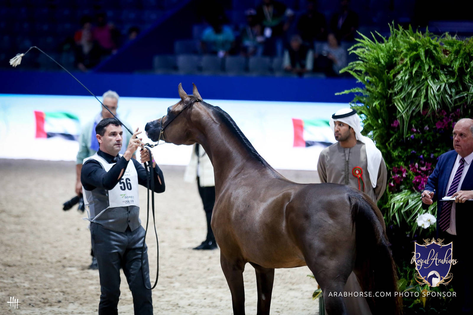 2022 Salon du Cheval d'El Jadida Horse Show in Morocco