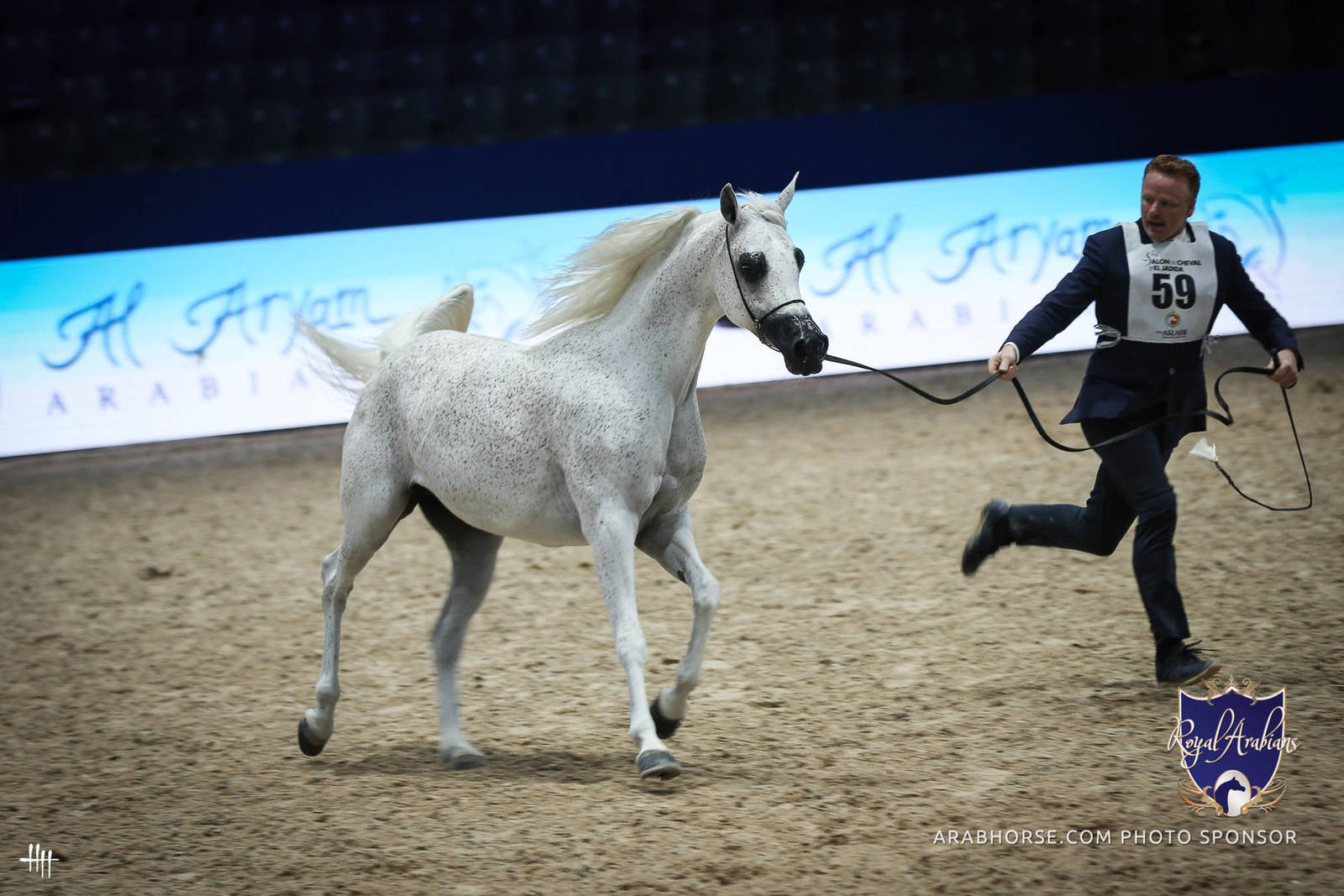 2022 Salon du Cheval d'El Jadida Horse Show in Morocco