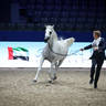 2022 Salon du Cheval d'El Jadida Horse Show in Morocco