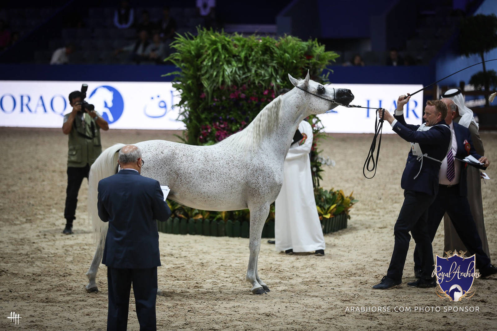 2022 Salon du Cheval d'El Jadida Horse Show in Morocco