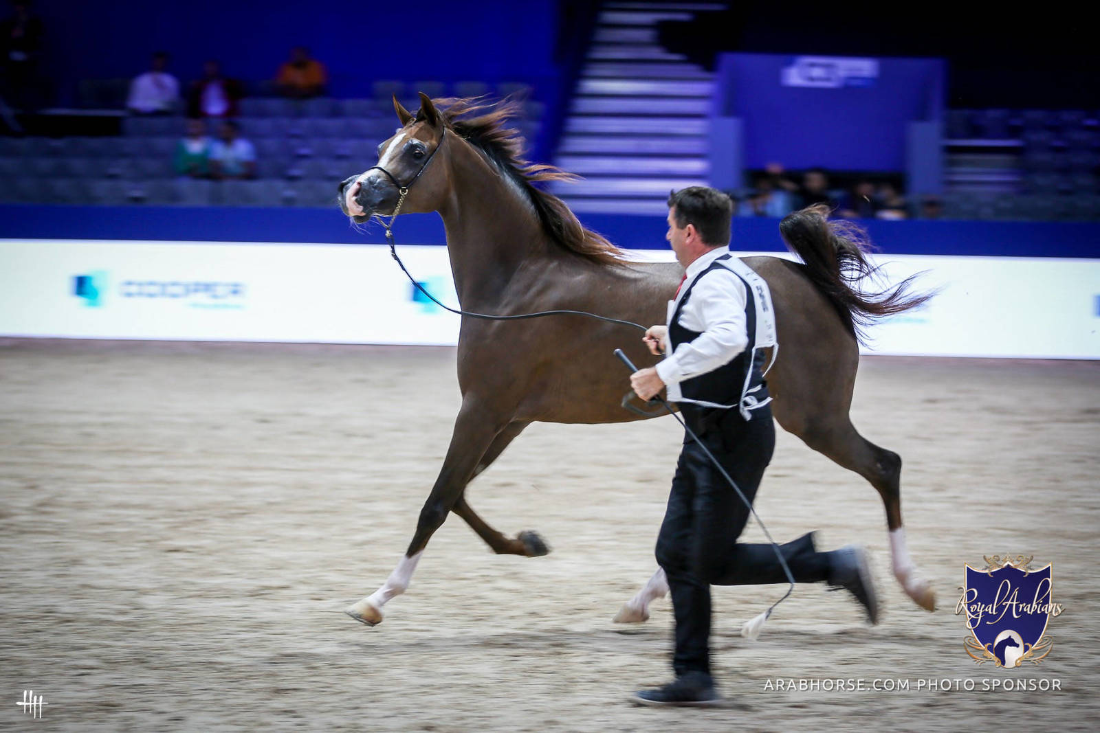 2022 Salon du Cheval d'El Jadida Horse Show in Morocco