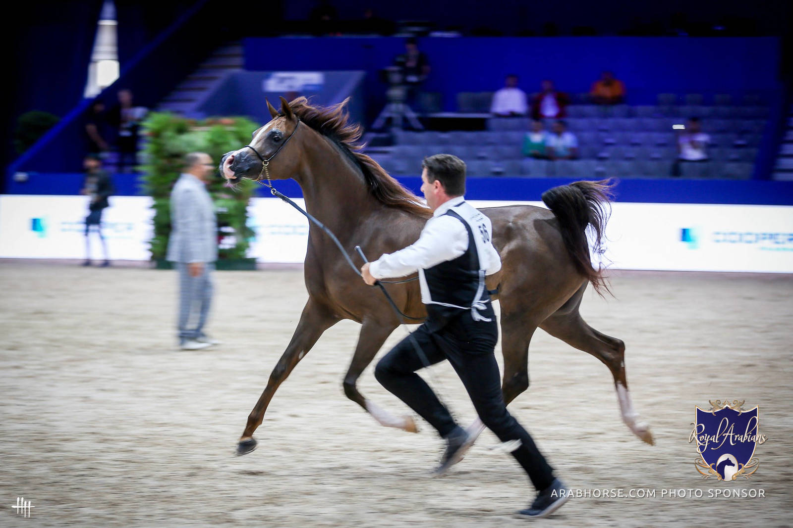 2022 Salon du Cheval d'El Jadida Horse Show in Morocco