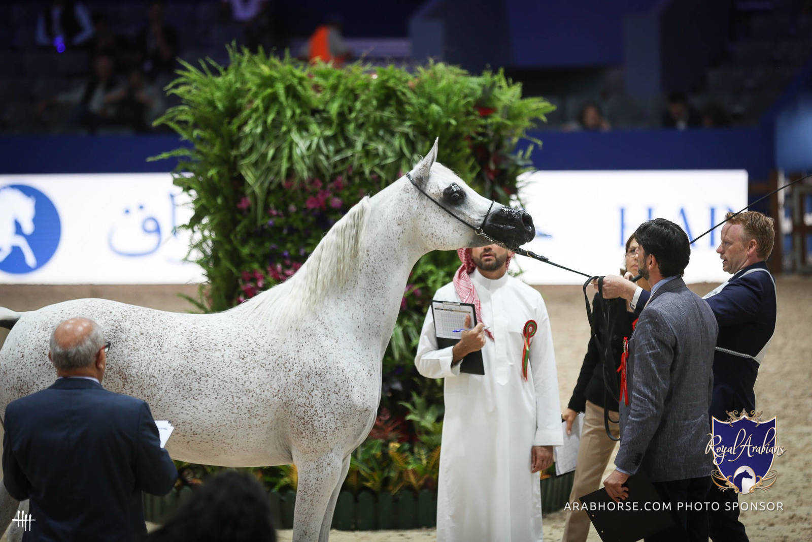 2022 Salon du Cheval d'El Jadida Horse Show in Morocco
