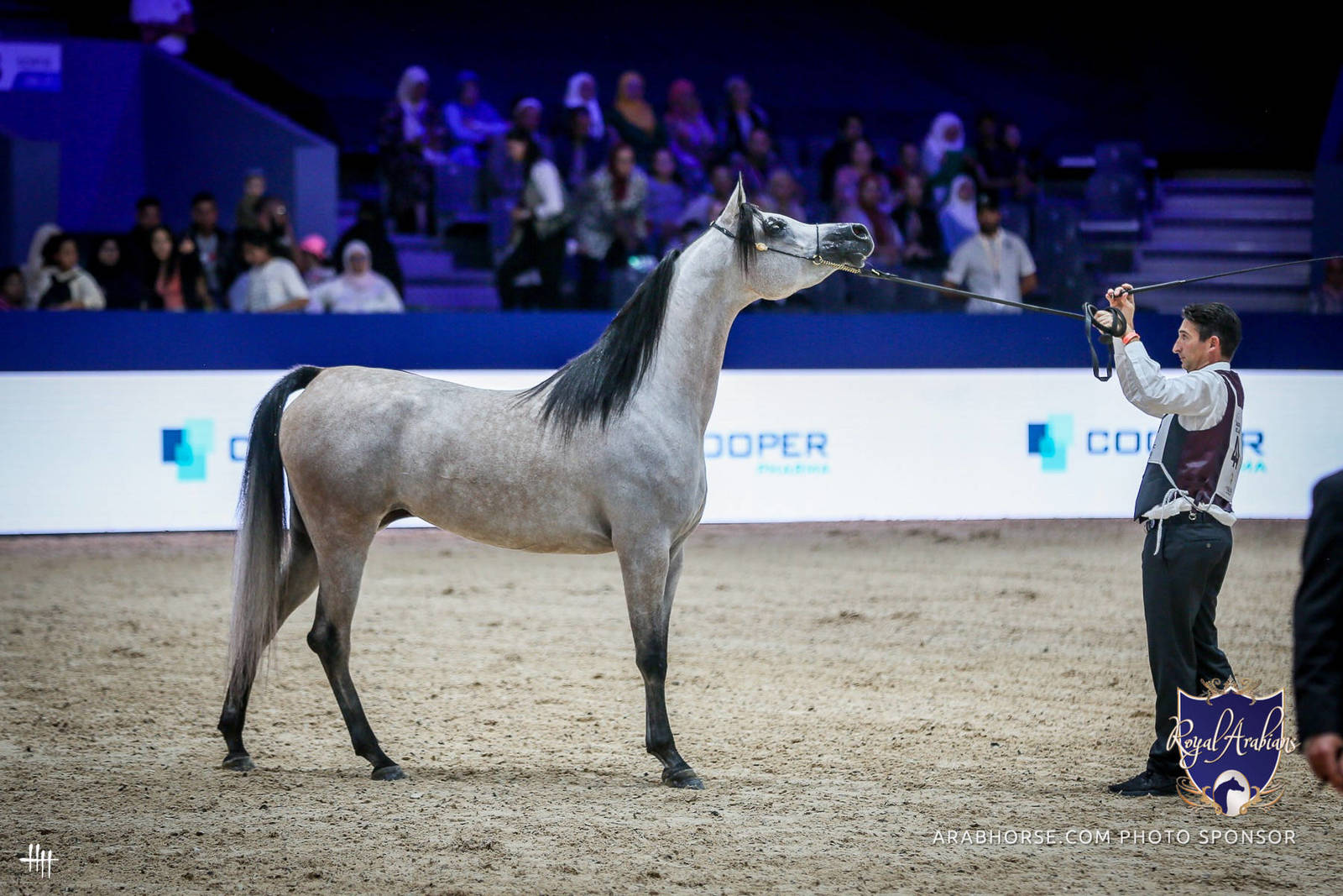 2022 Salon du Cheval d'El Jadida Horse Show in Morocco
