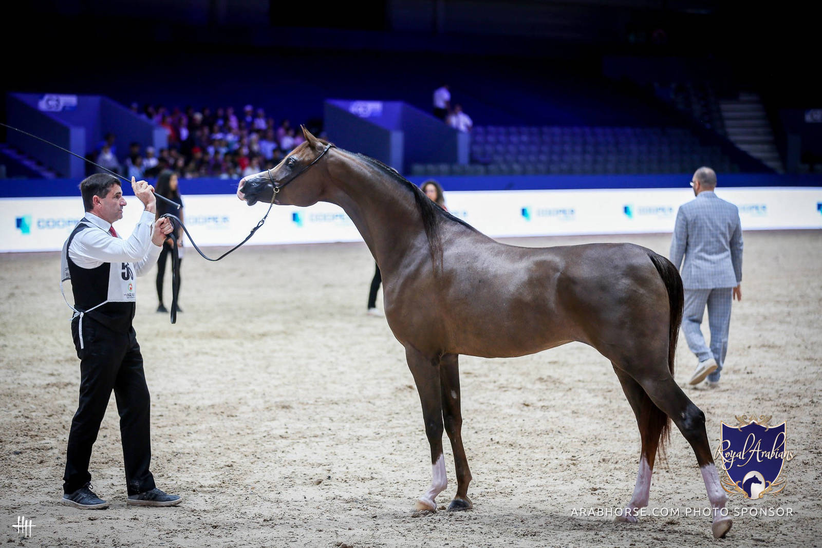 2022 Salon du Cheval d'El Jadida Horse Show in Morocco