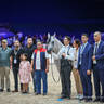 2022 Salon du Cheval d'El Jadida Horse Show in Morocco