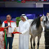 2022 Salon du Cheval d'El Jadida Horse Show in Morocco