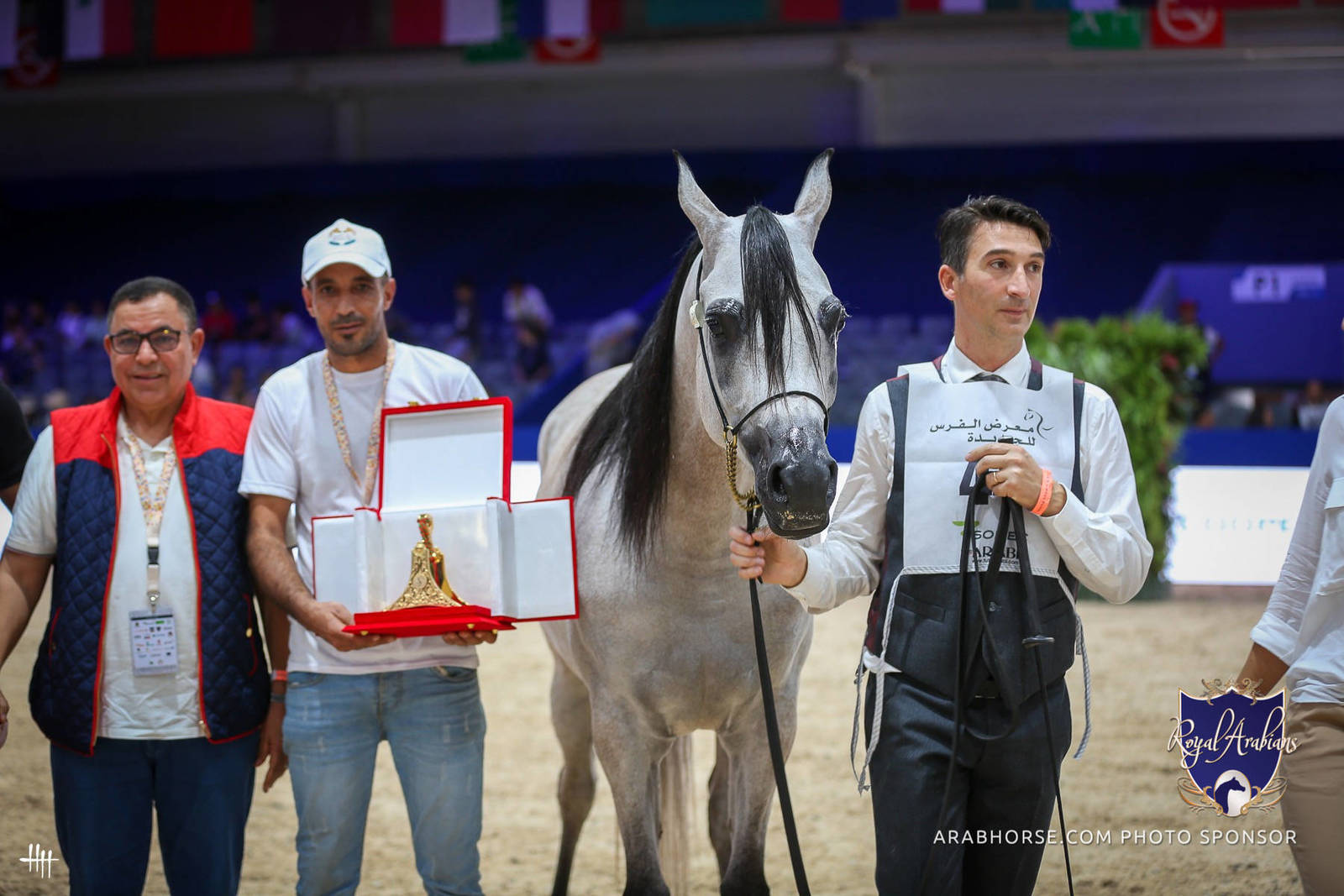 2022 Salon du Cheval d'El Jadida Horse Show in Morocco