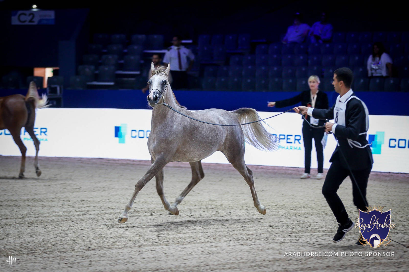 2022 Salon du Cheval d'El Jadida Horse Show in Morocco