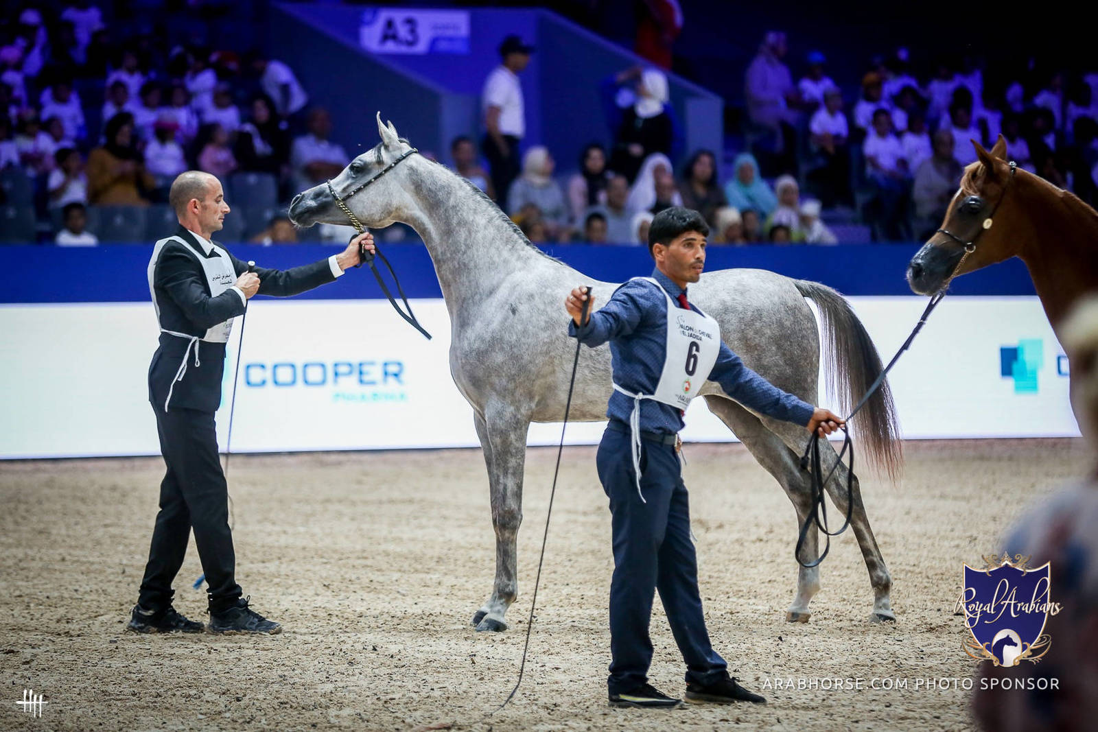 2022 Salon du Cheval d'El Jadida Horse Show in Morocco