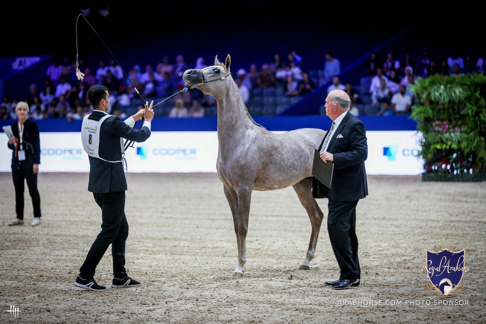 2022 Salon du Cheval d'El Jadida Horse Show in Morocco