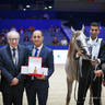 2022 Salon du Cheval d'El Jadida Horse Show in Morocco