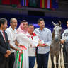 2022 Salon du Cheval d'El Jadida Horse Show in Morocco