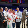 2022 Salon du Cheval d'El Jadida Horse Show in Morocco