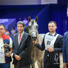 2022 Salon du Cheval d'El Jadida Horse Show in Morocco