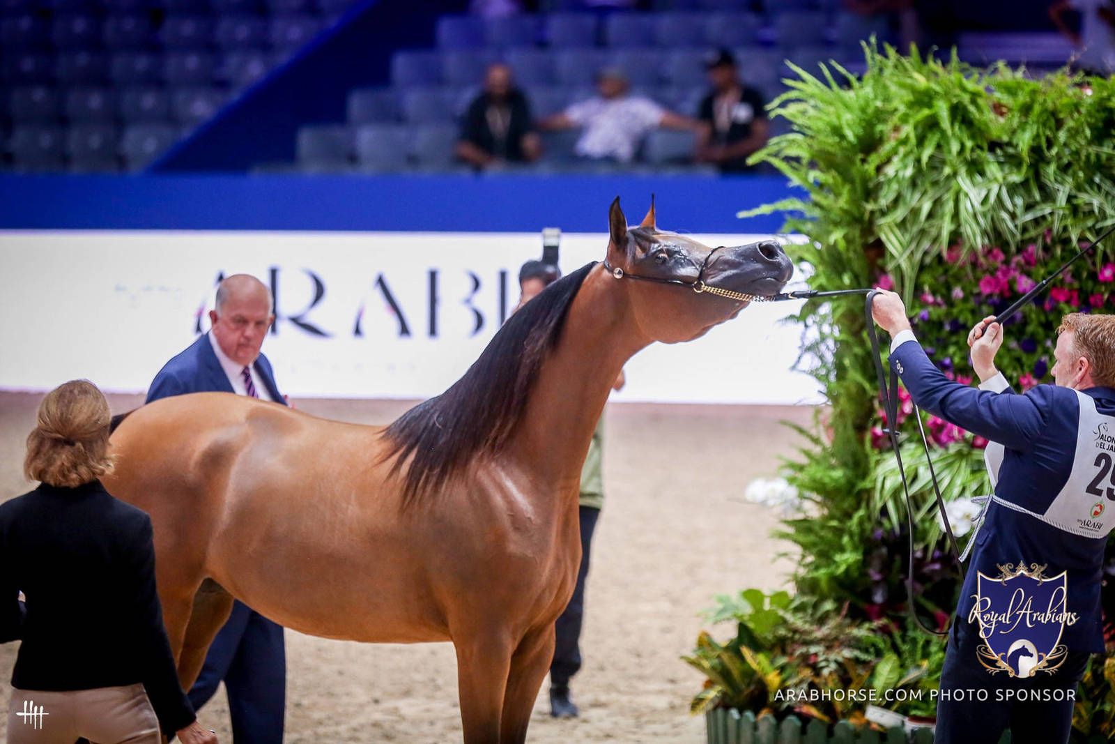 2022 Salon du Cheval d'El Jadida Horse Show in Morocco